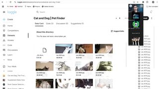 AI для врачей и исследователей: данные, Telegram-приложения, Perplexity AI
